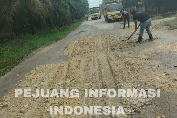 PT KWP Perbaiki Jalan Berlubang di Desa Danau Lancang