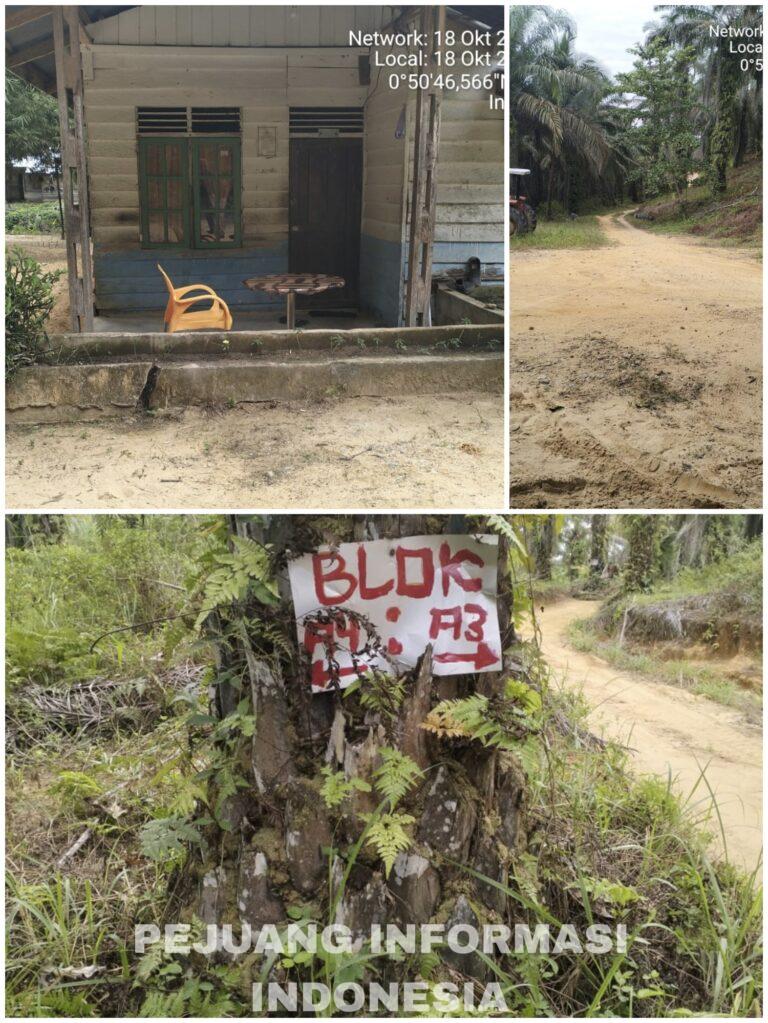 Diduga, Pengusaha Perkebunan Kelapa Sawit 434 Ha di Kawasan Hutan Rohul Take Over dengan PT SJI Nusa Coy