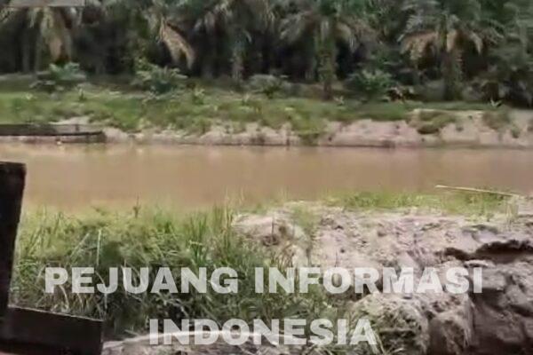 Instansi Terkait di Provinsi Riau Tidak Berwenang Mengamankan Aktivitas Kuari Ilegal