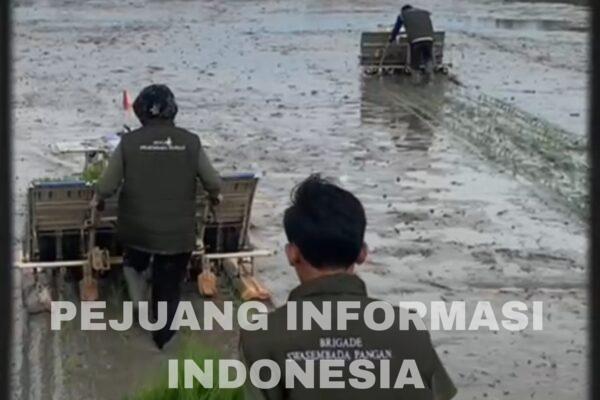 SobatTani, Brigade Pangan Apresiasi Penyaluran Alsintan dari Kementan