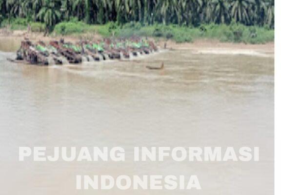 Di Duga Penampung Mas Ilegal Di Inhu Merasa Sudah Kebal Hukum