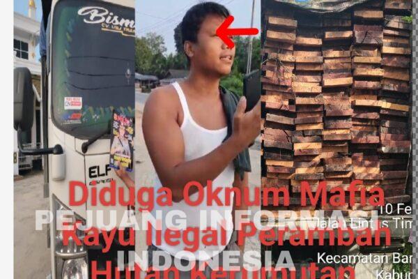 A. Siregar Diduga Gembong Mafia Kayu Ilegal Hutan Bersama 1 Unit Mobil Truk Bermuatan , APH Diminta Tegas.
