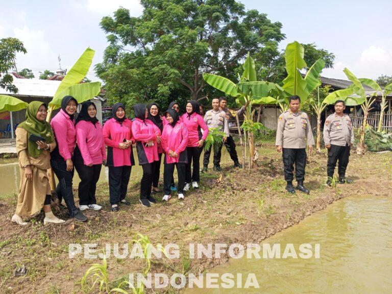 Sukses.!!! Polsek Tambelang Menggelar Launching Penguatan Program Pekarangan Pangan Lestari Terintergrasi dan Berkelanjutan 
