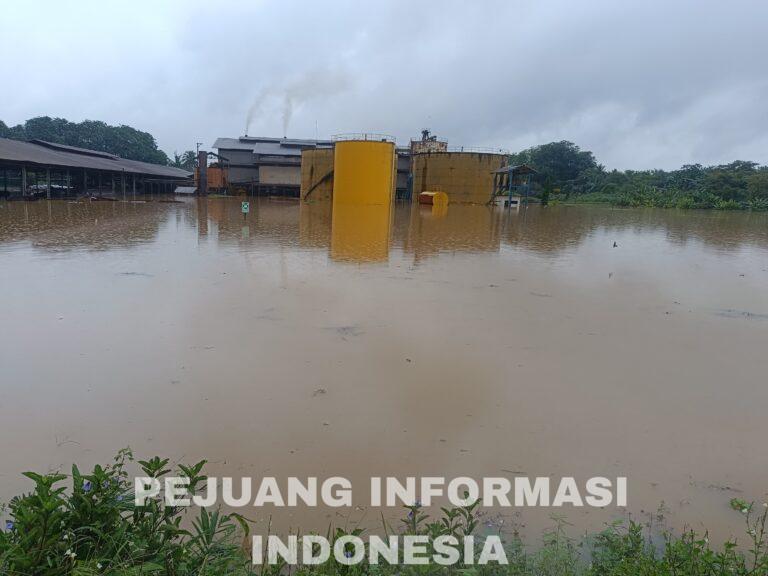 PT. Riau Kampar Sahabat Sejati Dilanda Banjir, Aktifitas Produksi Terhenti