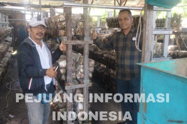 DPD Sahabat Prabowo Indonesia (SPI) Riau Kunjungi Petani Jamur Tiram di Kampar