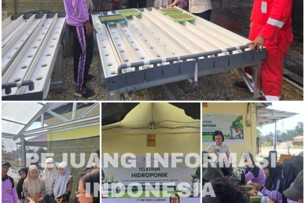 EMP Energi Gandewa Dorong Edukasi Pertanian Modern melalui Pelatihan Hidroponik di Rokan Hilir
